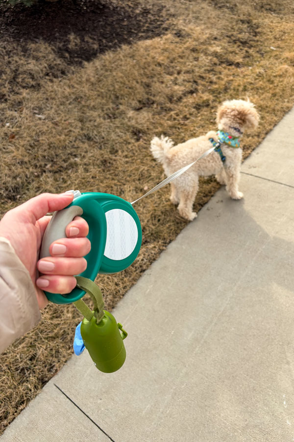Woman's hand holding a leash while walking a dog.