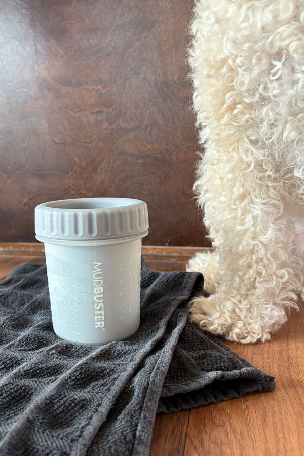 Dog's foot next to a small paw cleaning cup.